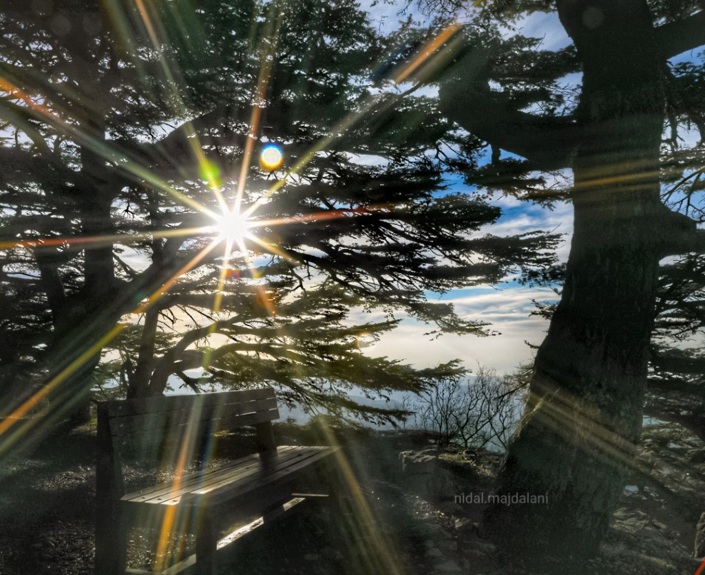 أرضه، مجده، شعبه… 100 صورة وأكثر من كلّ قضاء في حُبّ لبنان