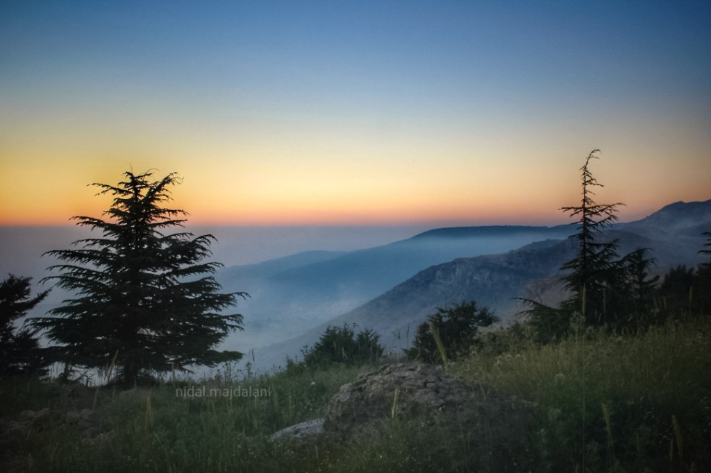 فالوغا, بين أرزاتها الشامخة وغيماتها الحالمة