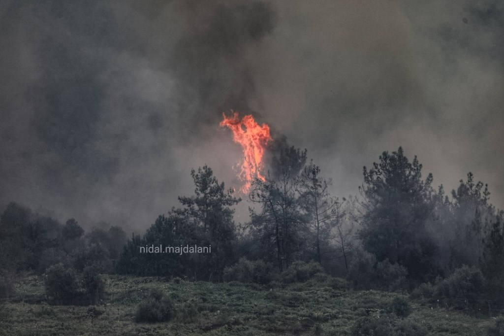 ليكتب التاريخ ولتشهد الارض وناسها… فشل بشريّ وتدخل&nbsp;الهيّ