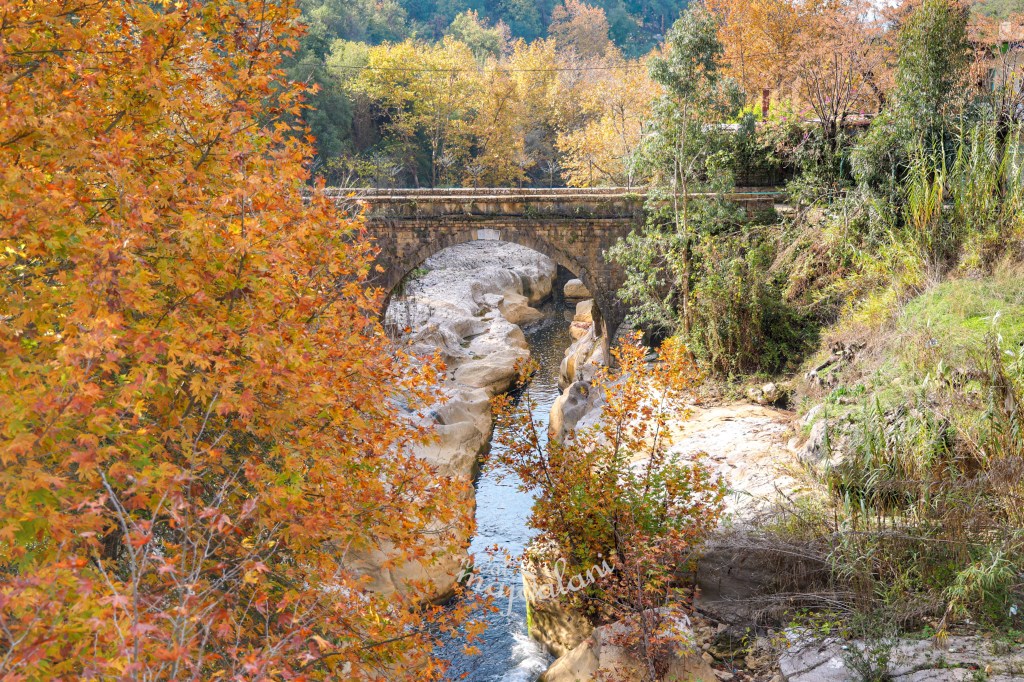 Jisr El Kadi: Echoes of Heritage, Whispers of Nature