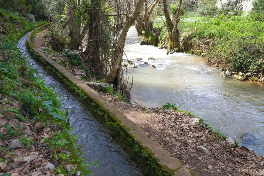 نهر الجوز… روح الطبيعة وحارس الطواحين القديمة&nbsp;والقلاع